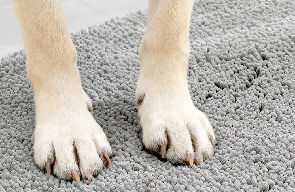 Dog's paws on a grey chenille mat