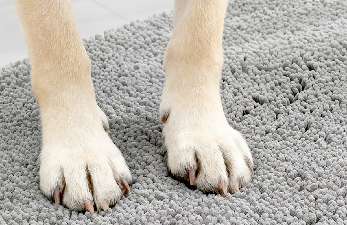 Dog's paws on a grey chenille mat