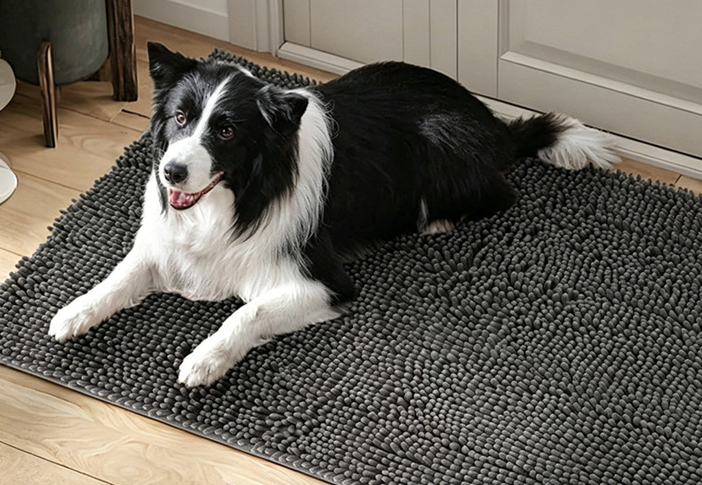 Border collie lying on a grey chenille hair-trap mat