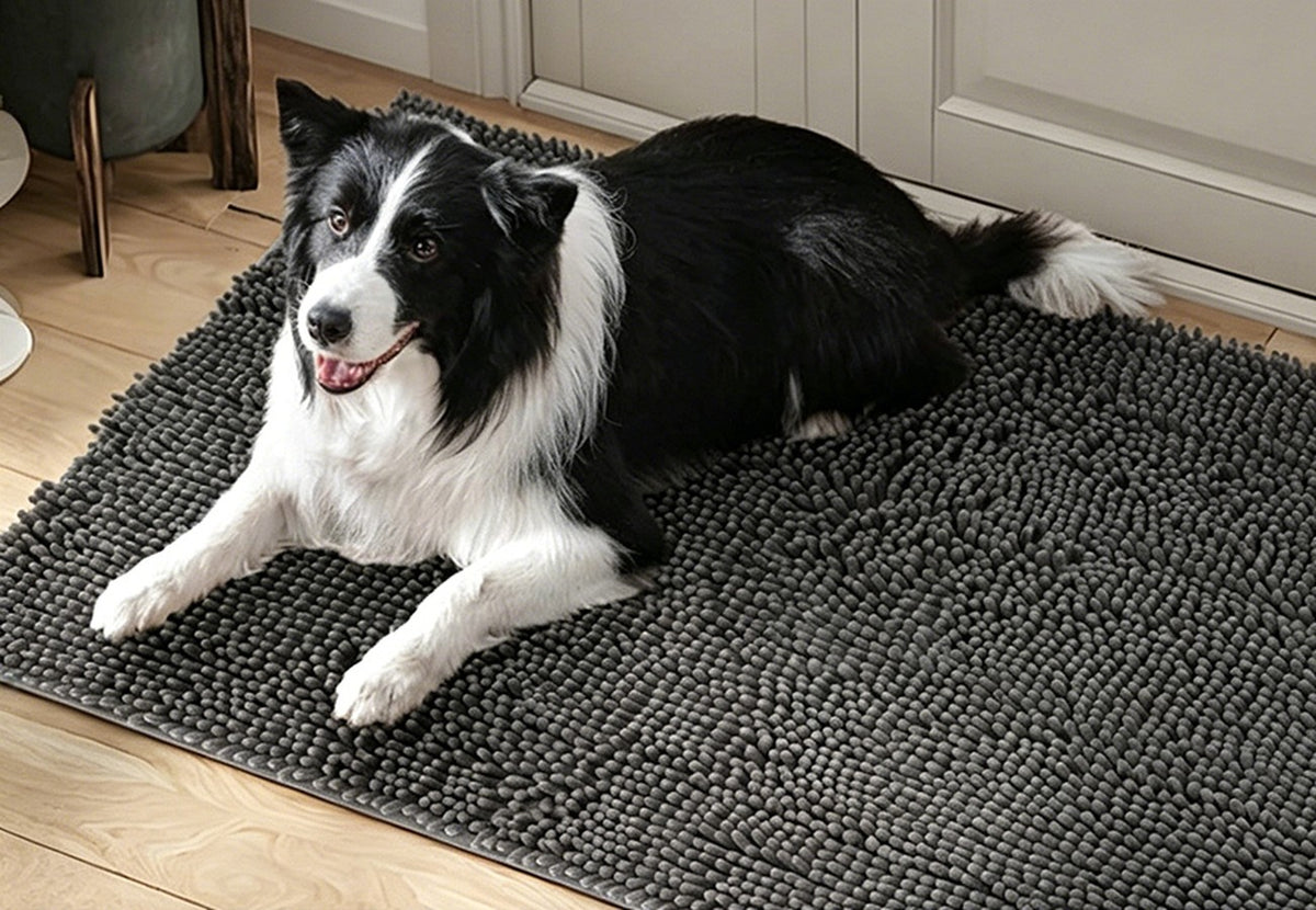 Border collie lying on a grey chenille hair-trap mat